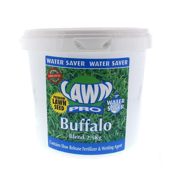 EMS Buffalo Blend Lawn Seed